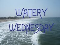 Watery Wednesday